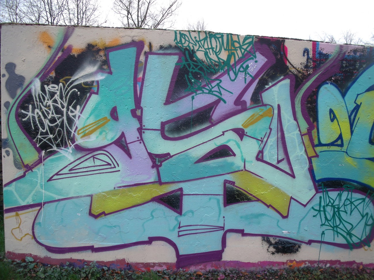 Graffiti Wall - Photo by DAZE95 - Emsdetten.Skaterpark, Fame, DAZE (2015)