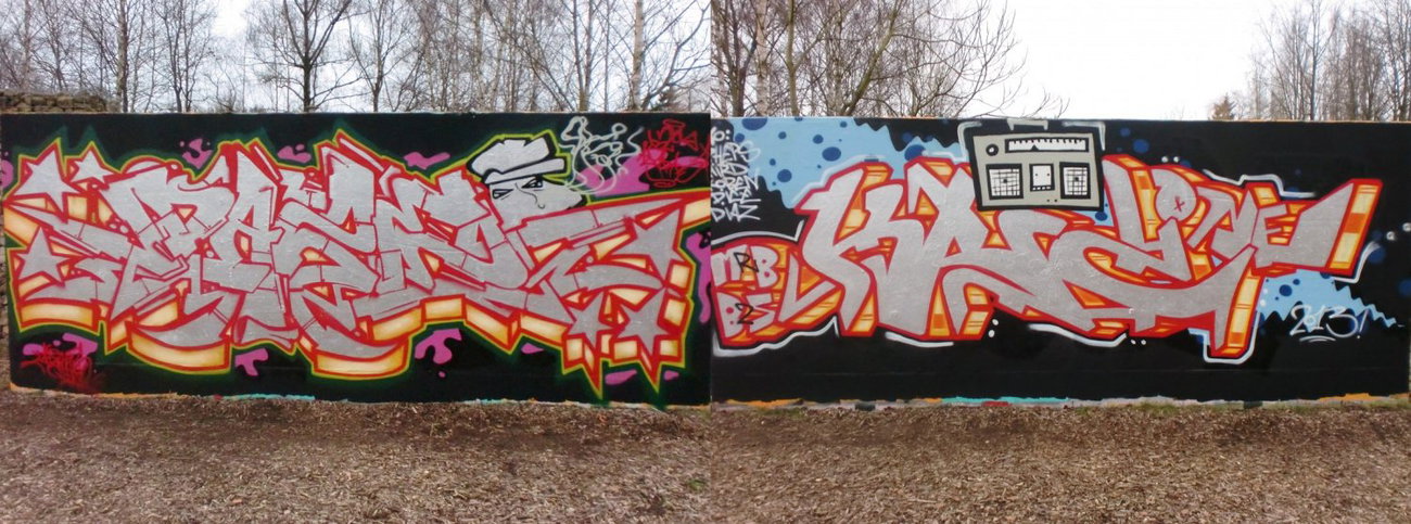 Graffiti Wall - Photo by DAZE95 - Emsdetten, Skaterpark, Fame (2013)