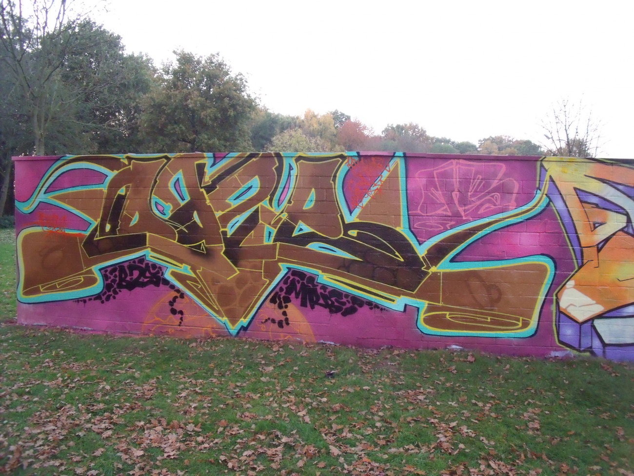 Graffiti Wall - Photo by DAZE95 - Ibbenbüren, Skaterpark, Fame (2015)