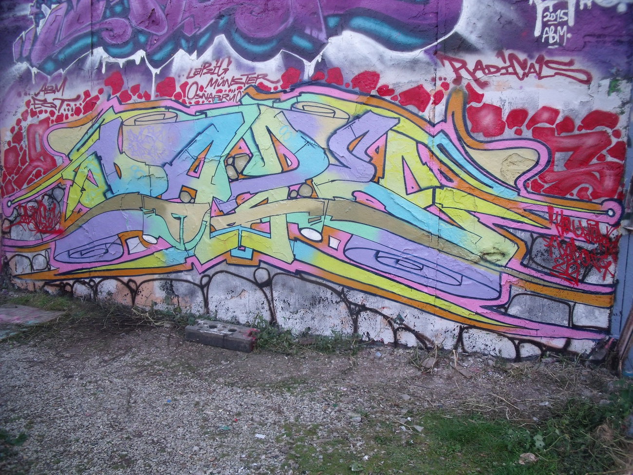 Graffiti Wall - Photo by DAZE95 - Münster, Hawerkamp, Fame (2015)