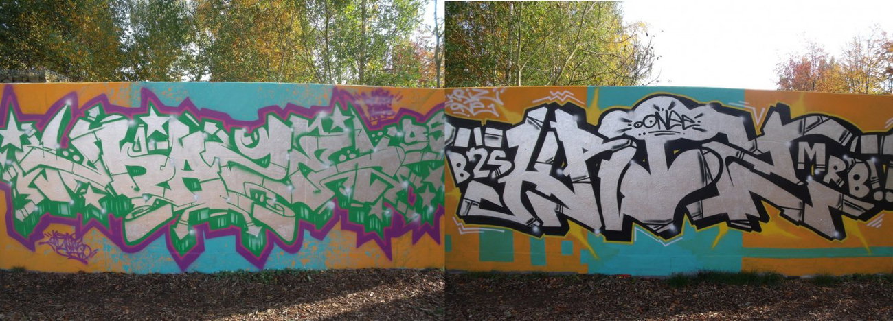 Graffiti Wall - Photo by DAZE95 - Emsdetten, Fame, Skaterpark (2012)