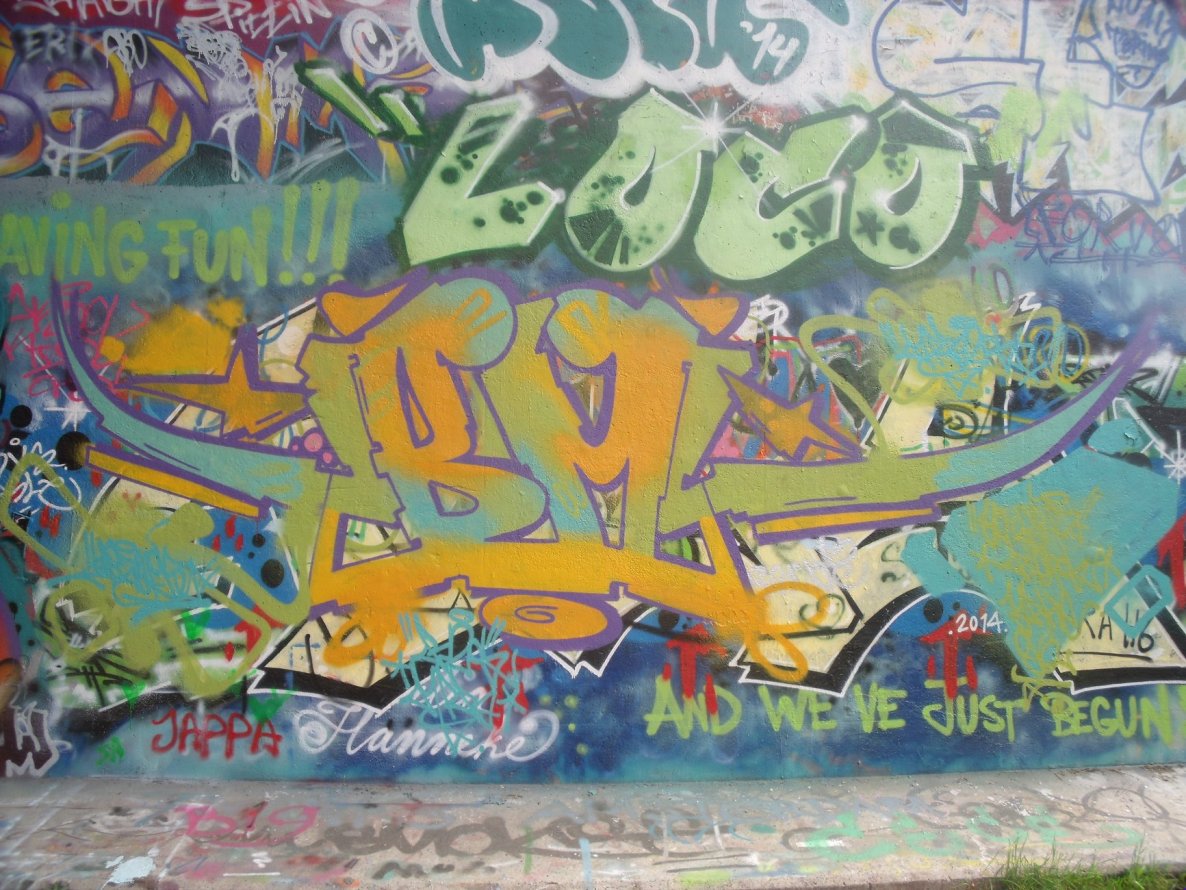 Graffiti Wall - Photo by DAZE95 - Amsterdam, Netherland, Flevopark (2014)