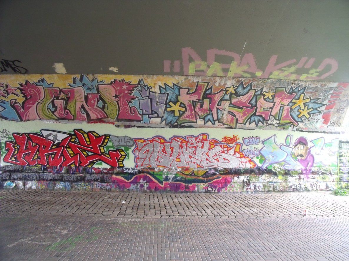 Graffiti Wall - Photo by DAZE95 - Rheine, Fame, DAZE (2012)