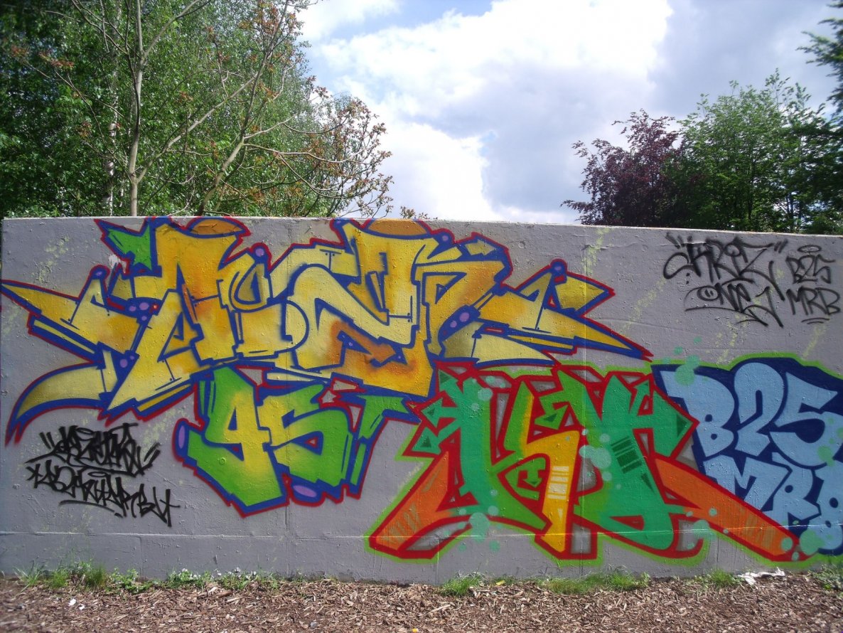Graffiti Wall - Photo by DAZE95 - Emsdetten, Skaterpark, Fame (2013)