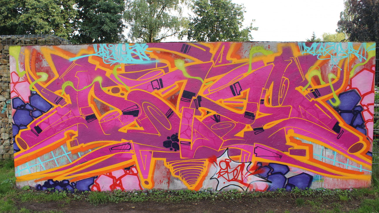 Graffiti Wall - Photo by DAZE95 - Emsdetten, Skaterpark, Fame (2015)