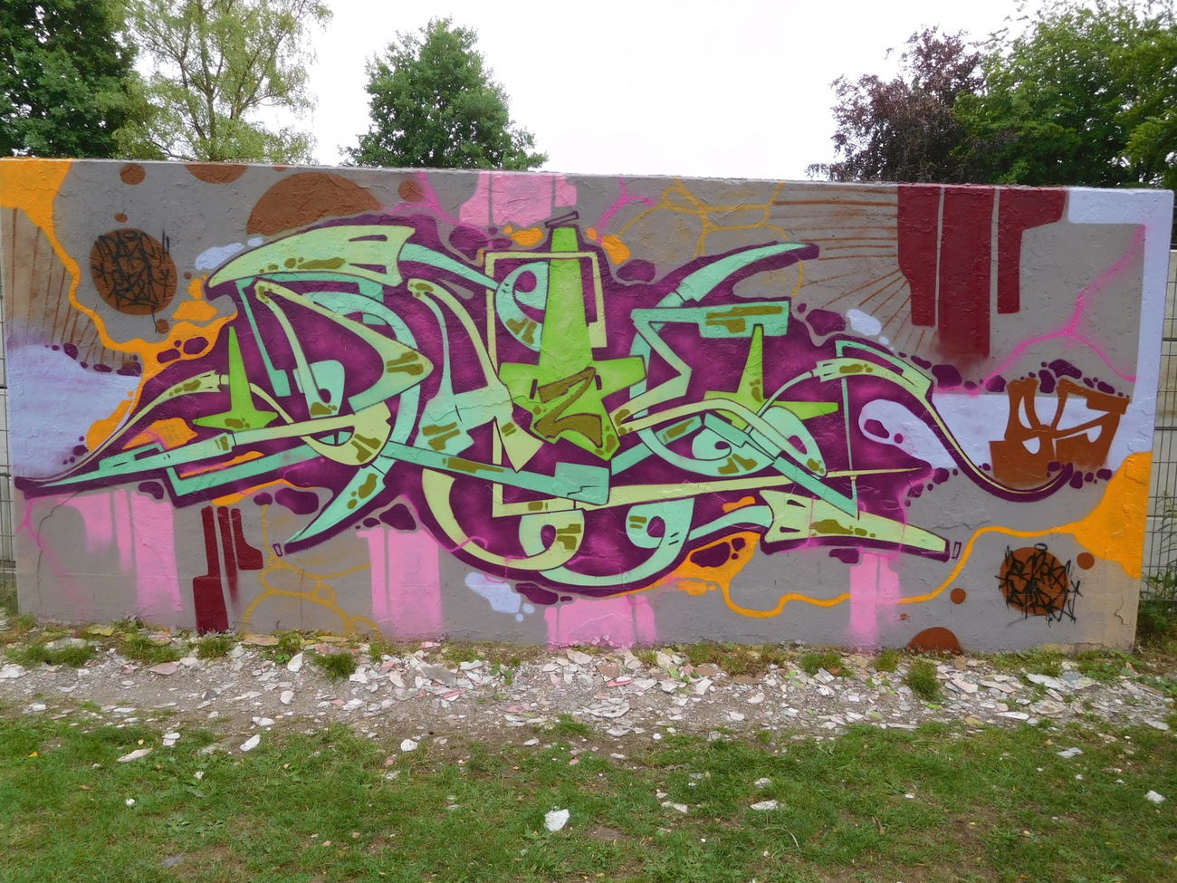 Graffiti Wall - Photo by DAZE95 - HallOfFame, Skatepark, DAZEN (2017)