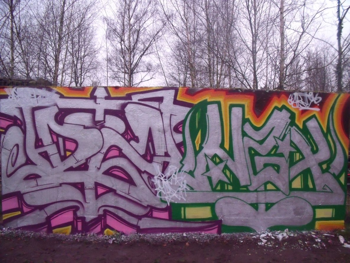 Graffiti Wall - Photo by DAZE95 - Emsdetten, Skaterpark, Fame (2014)