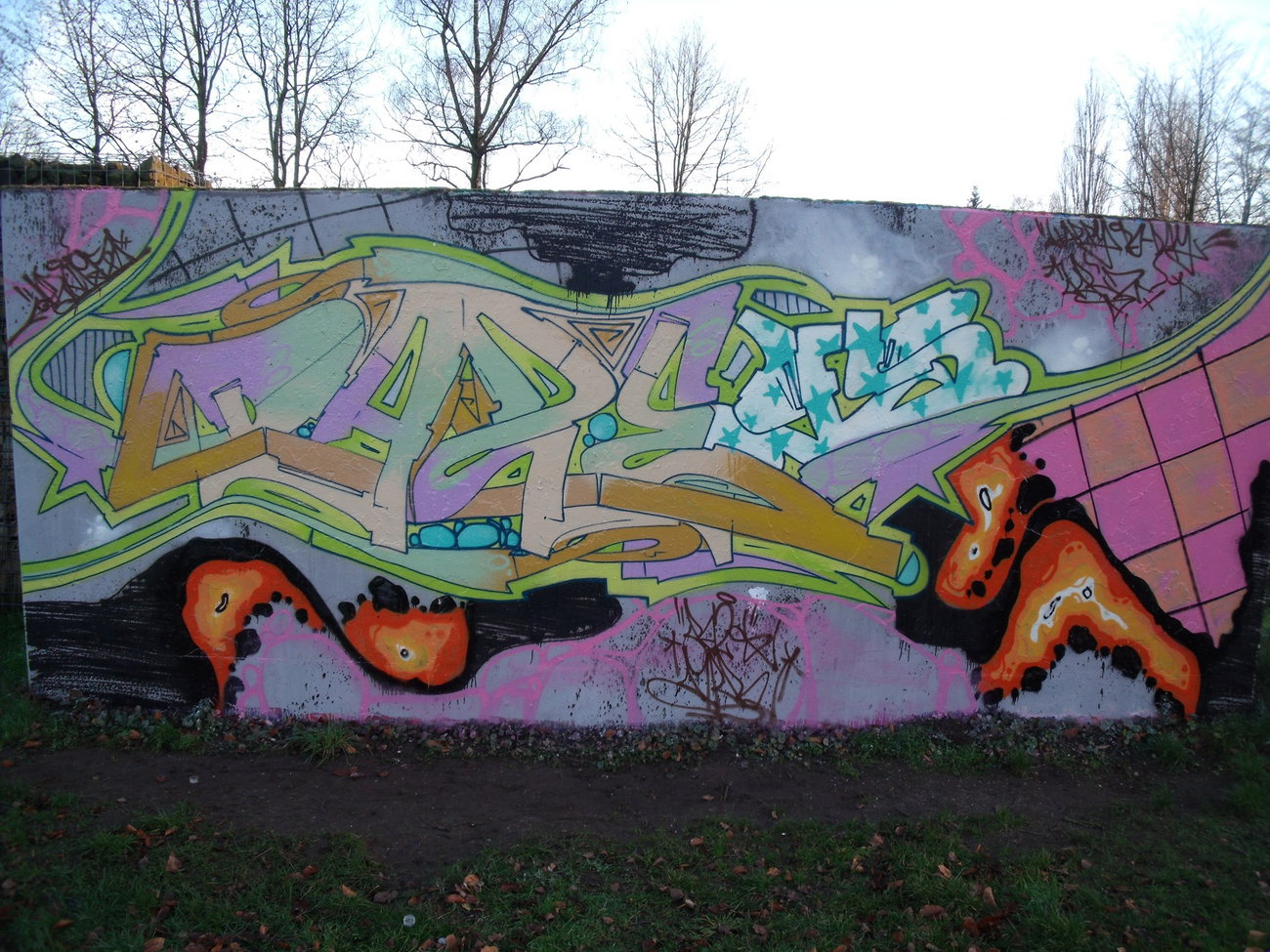 Graffiti Wall - Photo by DAZE95 - Emsdetten.Skaterpark, Fame, DAZE (2015)