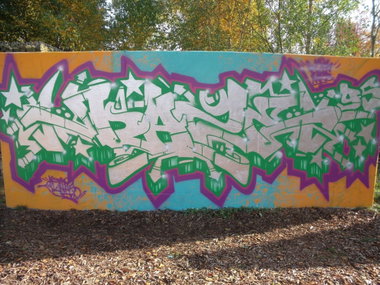 Graffiti Wall - Photo by DAZE95 - Emsdetten, Fame, Skaterpark (2012)