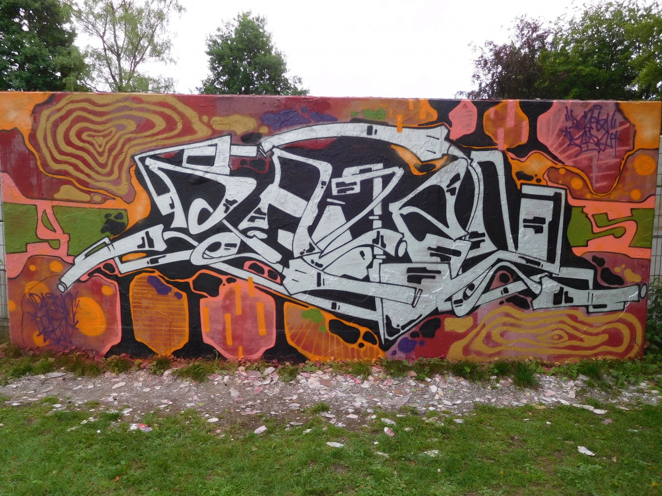 Graffiti Wall - Photo by DAZE95 - HallOfFame, Skatepark, DAZEN (2017)