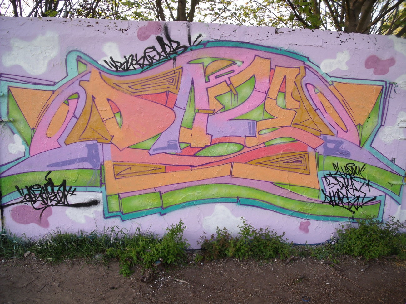 Graffiti Wall - Photo by DAZE95 - Berlin, Biesdorf, Fame (2016)