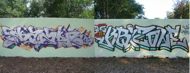 Graffiti Wall - Photo by DAZE95 - Emsdetten, Fame, Skaterpark (2012)