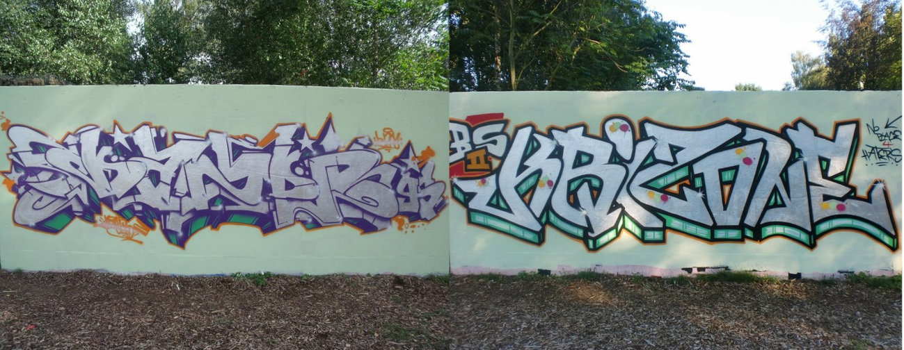 Graffiti Wall - Photo by DAZE95 - Emsdetten, Fame, Skaterpark (2012)