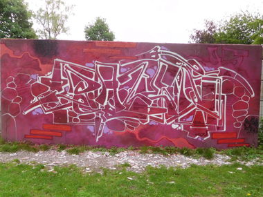 Graffiti Wall - Photo by DAZE95 - HallOfFame, Skatepark, DAZEN (2017)