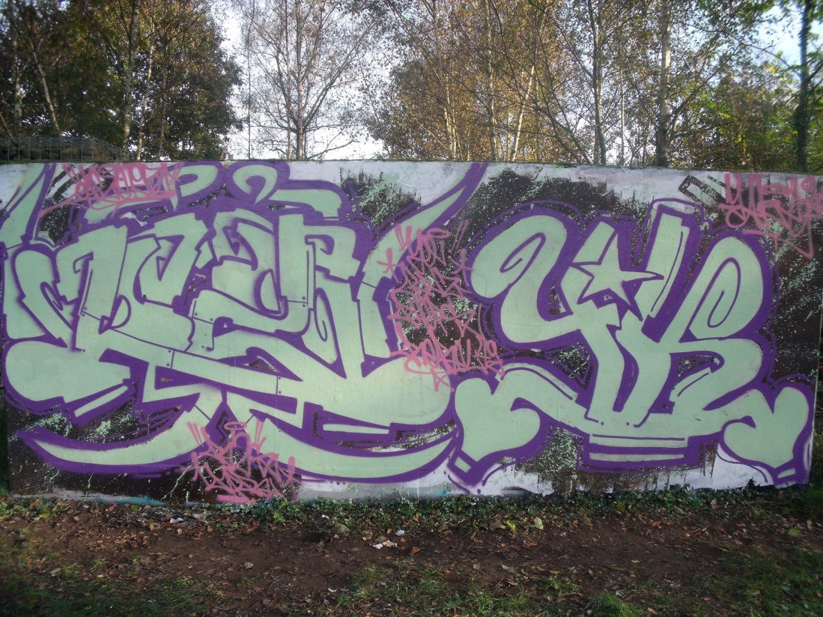 Graffiti Wall - Photo by DAZE95 - Rheine, Fame, DAZE (2014)