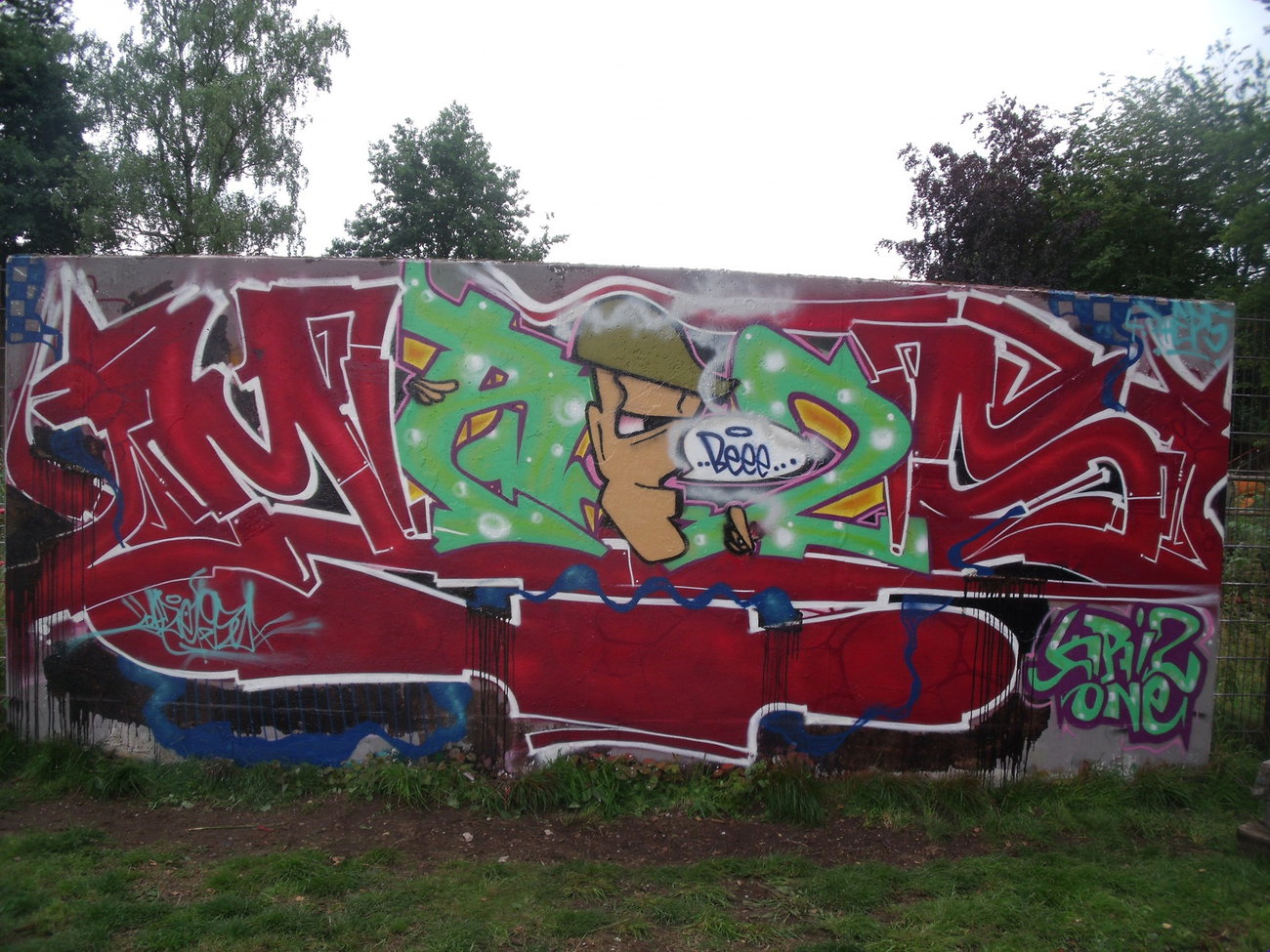 Graffiti Wall - Photo by DAZE95 - Emsdetten, Fame, Skaterpark (2015)