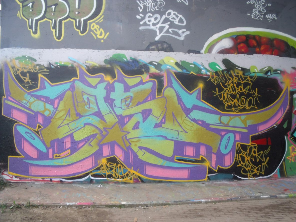 Graffiti Wall - Photo by DAZE95 - Amsterdam, Netherland, Flevopark (2014)