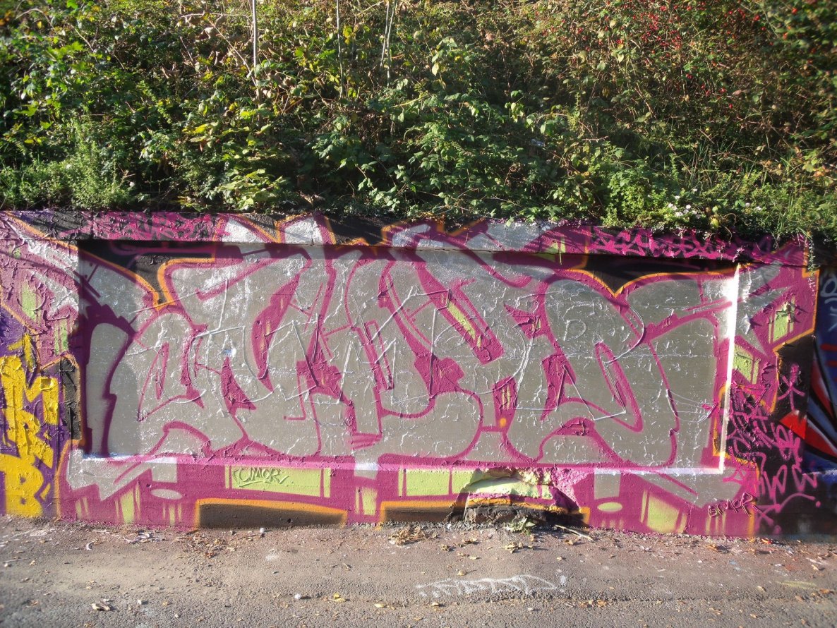 Graffiti Wall - Photo by DAZE95 - Münster, Titus, Fame (2014)