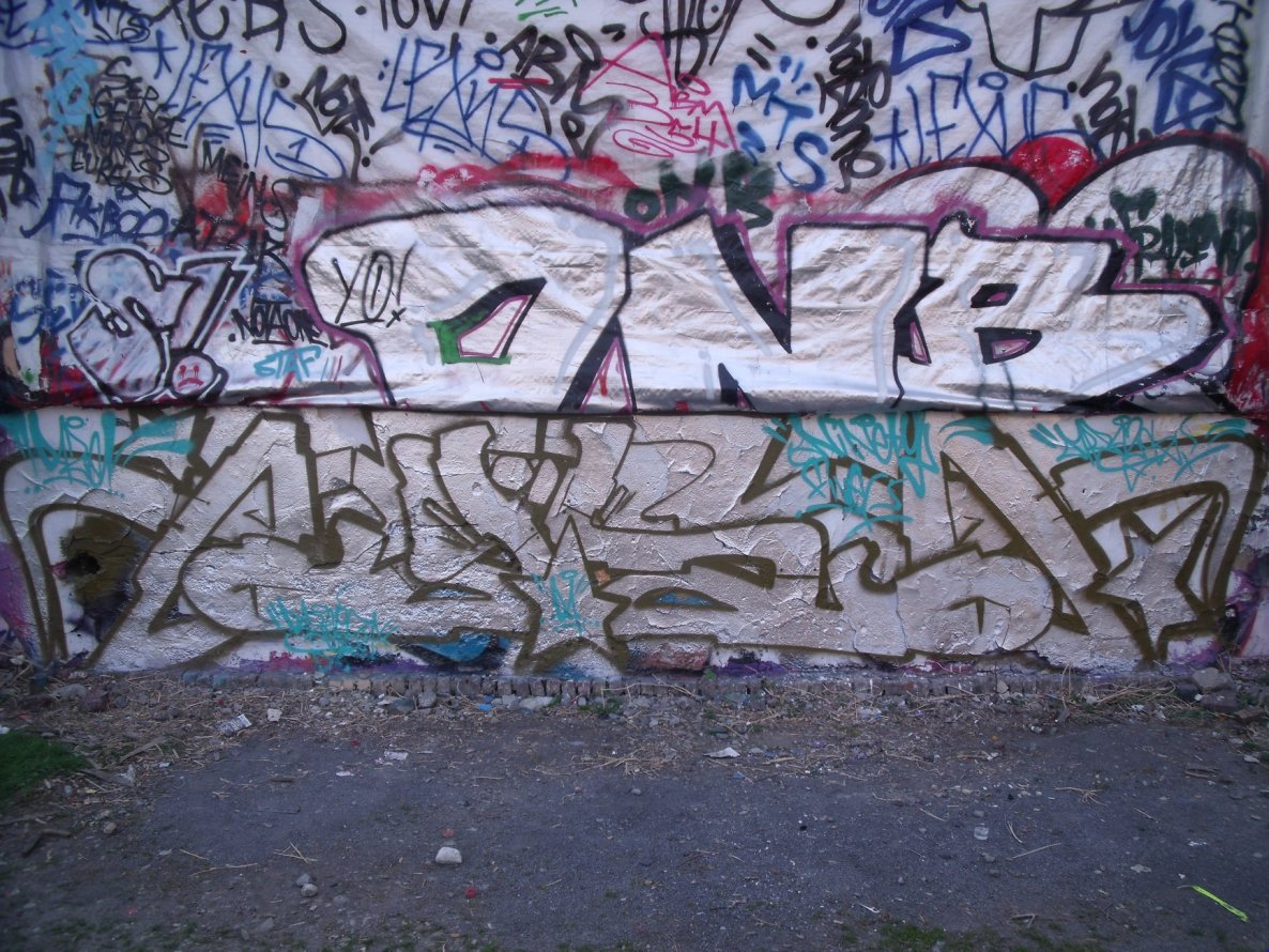 Graffiti Bombing - Photo by DAZE95 - Münster, Hawerkamp.DAZE, 95 (2015)
