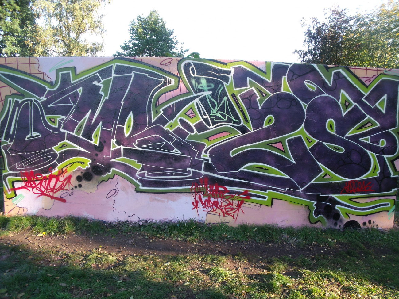 Graffiti Wall - Photo by DAZE95 - Emsdetten, Skaterpark, Fame (2015)