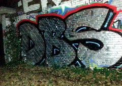 Photo #128269 by MENO