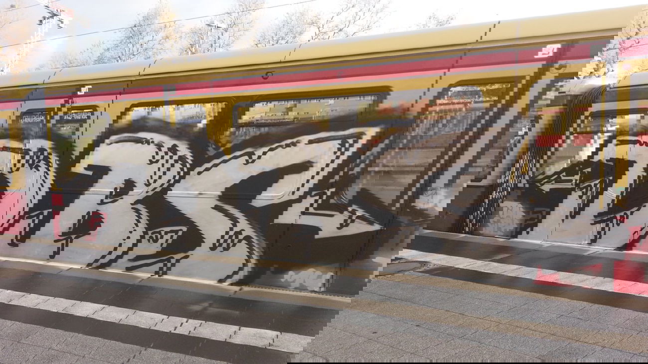 Graffiti Train - Photo by DBScrue - Tiak, Suph, DBS (2014)