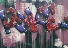 Photo #171361 by Belt