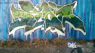 Graffiti Wall in Hamburg - Photo by DEKA - Green, PalmTreeeS, DEKA (2014)