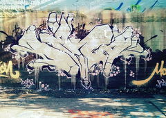 Photo #172732 by Belt