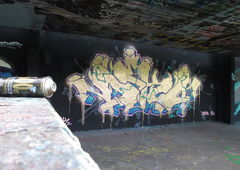 Photo #170041 by Belt