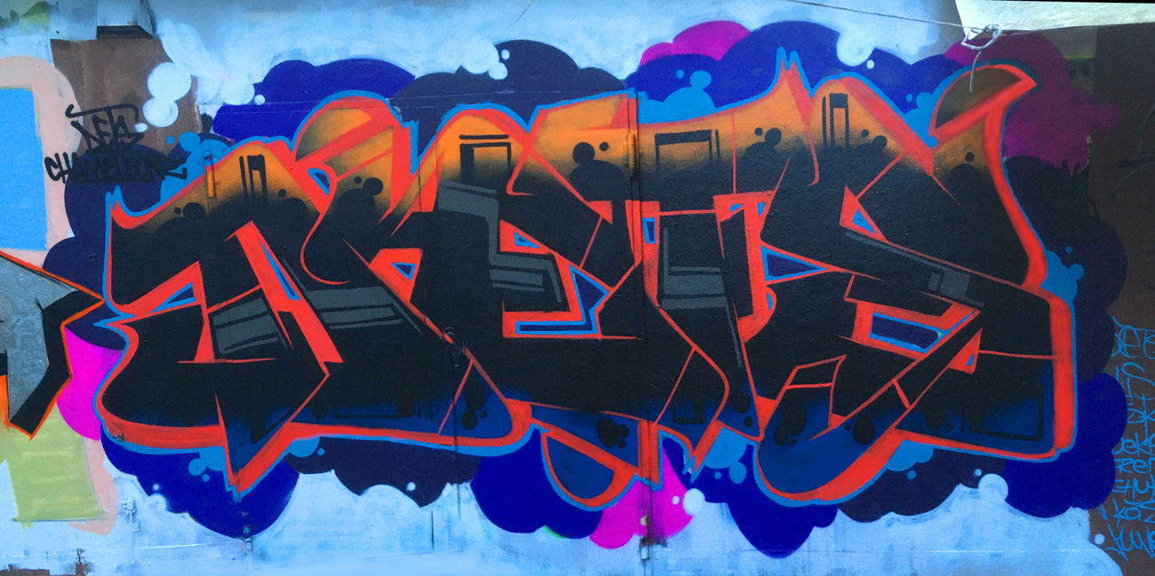 Graffiti Wall - Photo by DETS - rsk, chameleons (2019)