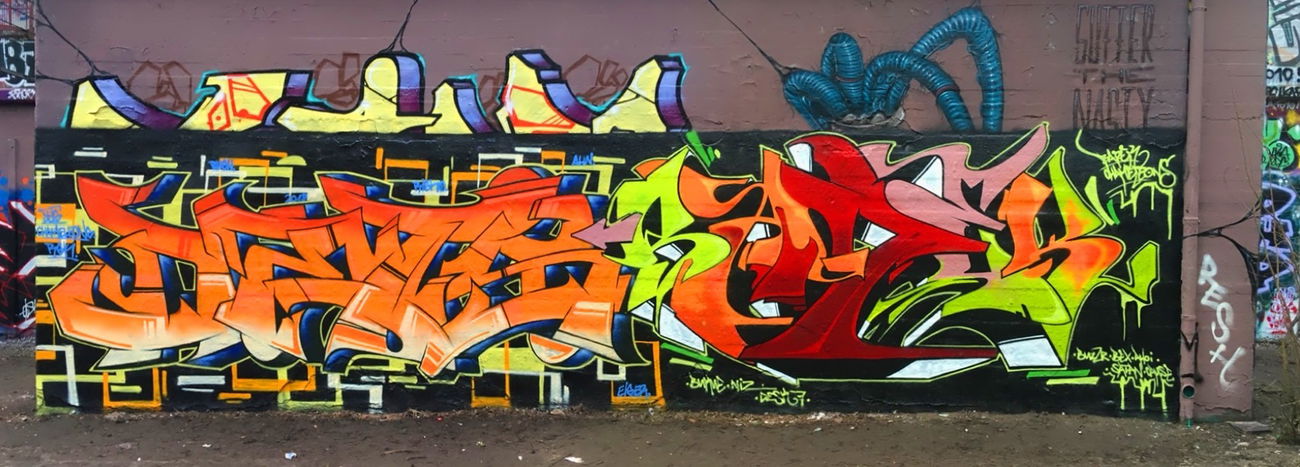 Graffiti Wall - Photo by DETS - detsbadek, chameleons, graffitihamburg (2018)