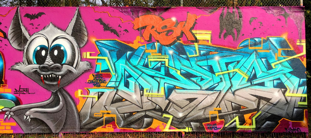 Graffiti Wall - Photo by DETS - dets, rsk, chameleons (2019)