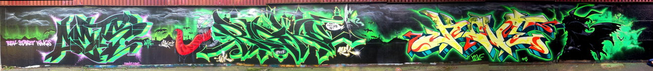 Graffiti Wall - Photo by DETS - green, is, da (2013)