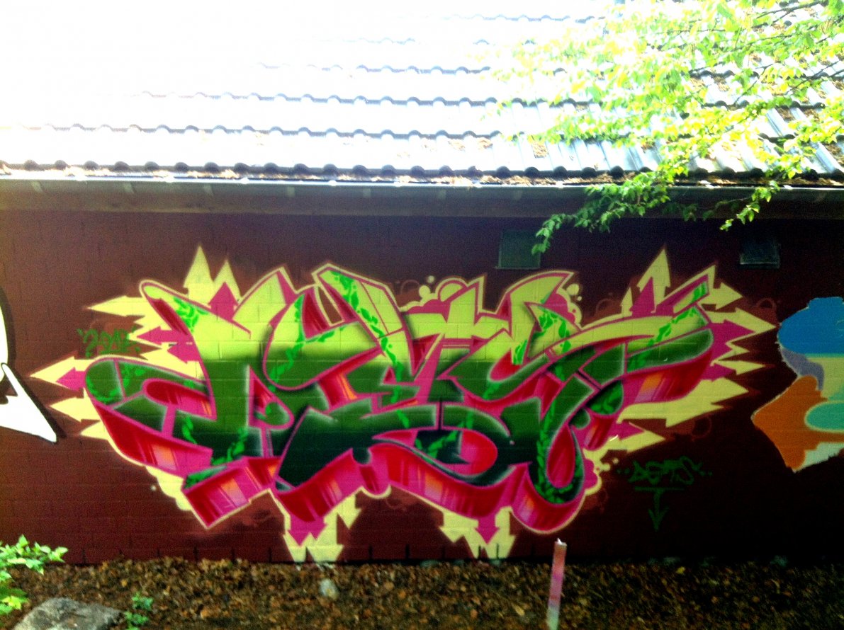 Graffiti Wall - Photo by DETS - fluor, dets (2012)