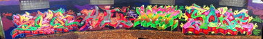 Graffiti Wall - Photo by DETS - bunte, hunde (2012)