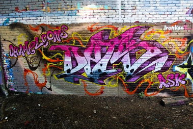 Graffiti Wall - Photo by DETS - ironfak (2012)