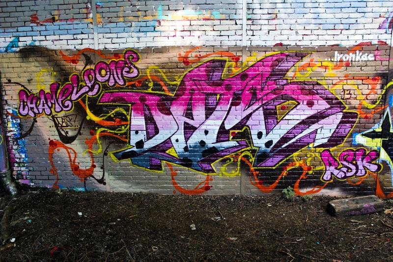 Graffiti Wall - Photo by DETS - ironfak (2012)