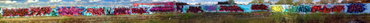 Graffiti Wall - Photo by DETS - DIE, STEINE-SCHMEISSER! (2014)