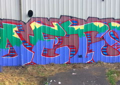 Graffiti Wall - Photo by DETS - dets, rsk, chameleons (2018)