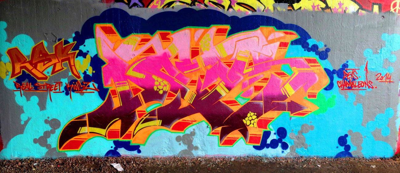 Graffiti Wall - Photo by DETS - kassel-skate, park, 03-08-2014 (2014)