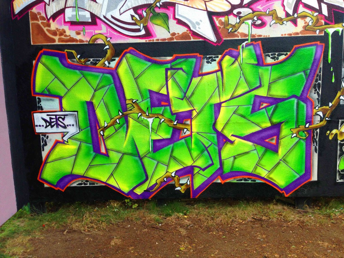 Graffiti Wall - Photo by DETS - concrete, flower, dets (2014)