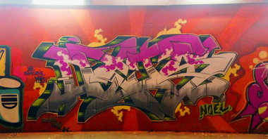 Graffiti Wall - Photo by DETS - dets-rsk-chameleons (2014)