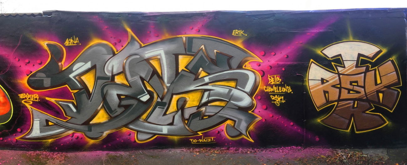 Graffiti Wall - Photo by DETS - dets, rsk, chameleons (2016)