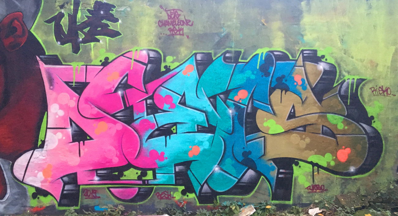 Graffiti Wall - Photo by DETS - dets, rsk, chameleons (2019)