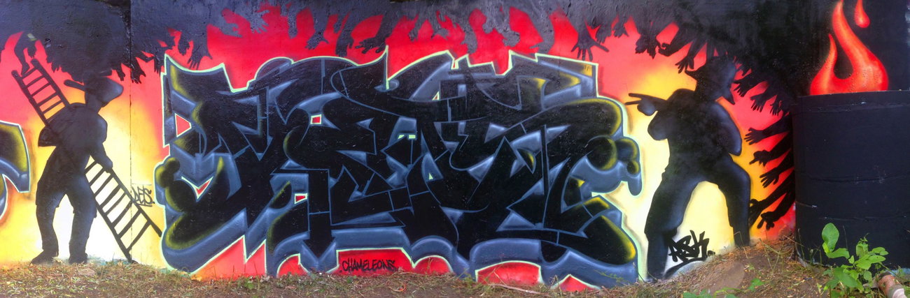 Graffiti Photo by DETS - dets, chameleons, rsk (2015)