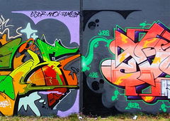 Graffiti Wall - Photo by DETS - dets, rsk, chameleons (2020)