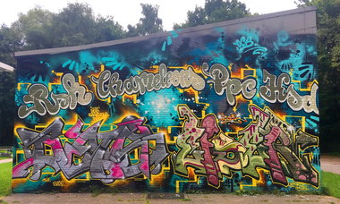 Graffiti Wall - Photo by DETS - dets, rsk, chameleons