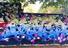 Graffiti Wall - Photo by DETS - dets, rsk, chameleons (2018)