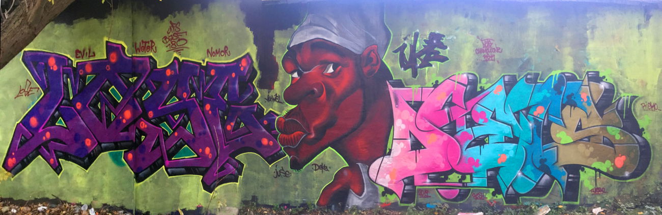 Graffiti Wall - Photo by DETS - dets, rsk, chameleons (2019)